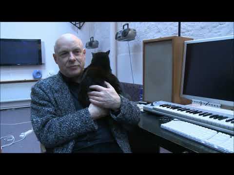 Paws for thought with Brian Eno