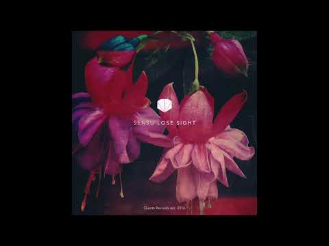 Sensu - Far Away (feat. Nadine Carina)