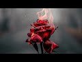 Roses Imanbek Remix Rlenix S Edit