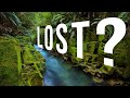 Can Moss Save Your Life?