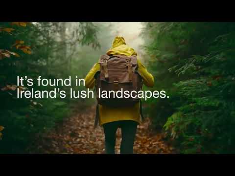 St. Patrick's Day 2023