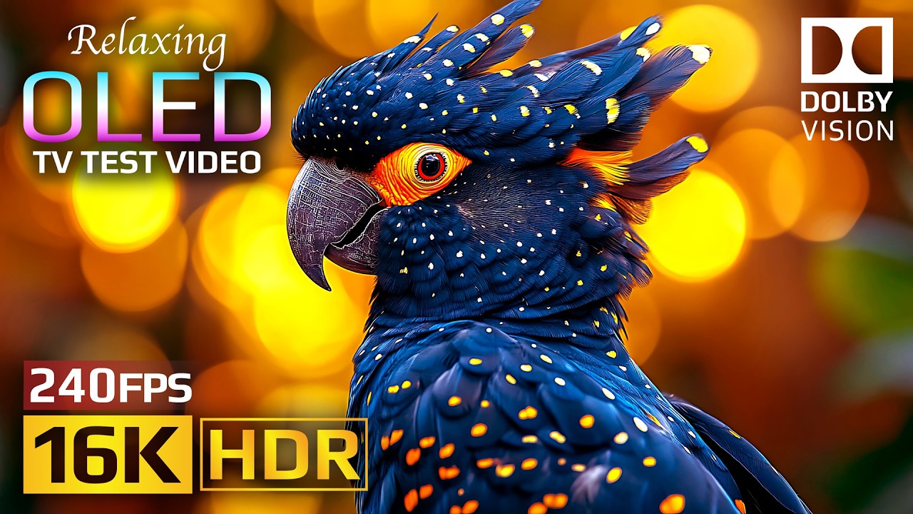 Cinematic Nature OLED HDR Test 16K | Dolby Vision 120fps (8K/4K Video TV)