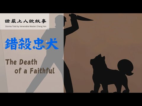 【證嚴上人說故事】 錯殺忠犬The Death of a Faithful Dog|孩子被狗吃了嗎