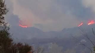 The Thomas Fire put to song