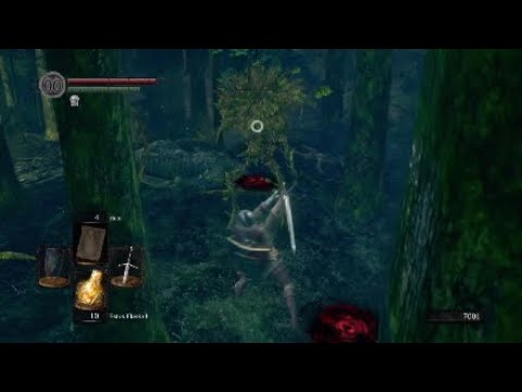 Dark Souls Remastered: Farm Guide for Darkroot Garden