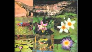 James Asher - Tantango