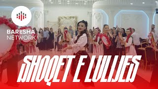 Shamikuqet - Shoqet E Lulijes