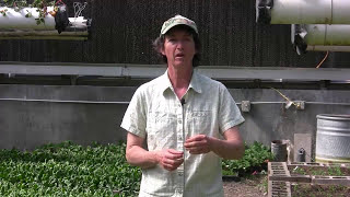 Secrets of Seeds Series: Introduction