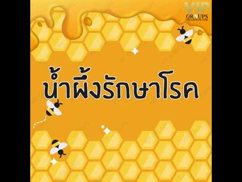 กระเจี๊ยวใหญ่ Petite เอเชีย โสมสำหรับวิธีการแรง