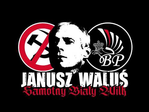 Obłęd: Biały Wilk