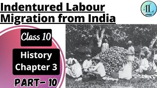 Indentured Labour Migration from India | The Making of Global World | Class 10 History Chapter 3