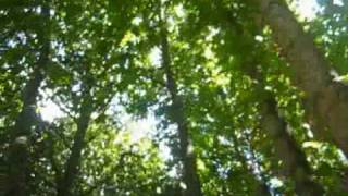 The Jewel - Johanna's High