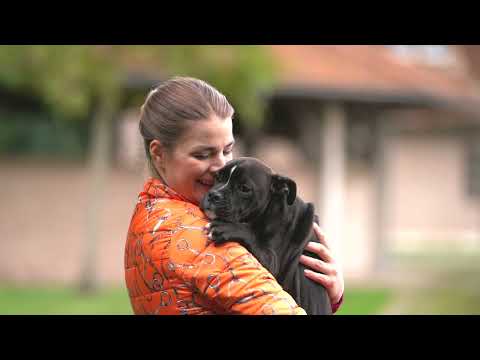 HKM Sommerkollektion 2022 (Allure)