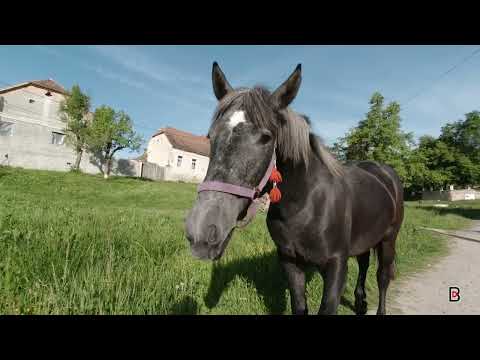 Saxon Villages of Transylvania - Meschendorf