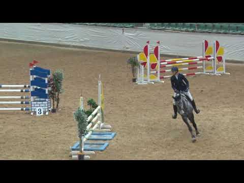 Good Loop, Stute v. Kannan x Corrado I,  geb. 2014