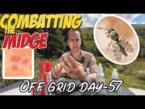 The Highland Midge Survival Guide: From Prevention to Protection