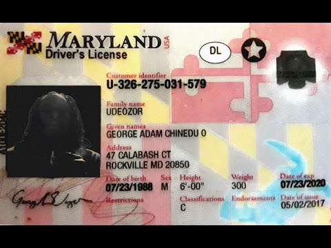 George Kush - "Babylon III" (Official Video)