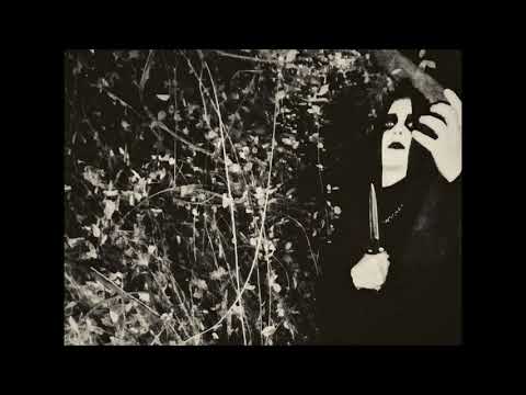 Säänëhdäc - Sañjīva