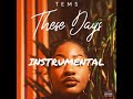 Tems These Days Instrumental (Prod. by Keks)