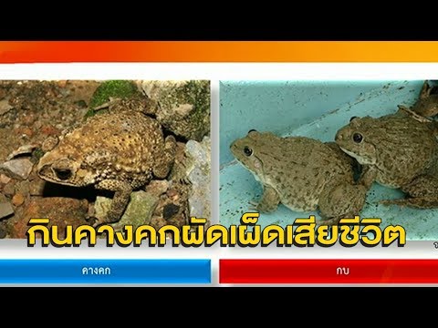 เพิ่มขึ้นในสมาชิก Novosibirsk สิ่งที่ถ้าสมาชิกสิวเสี้ยน