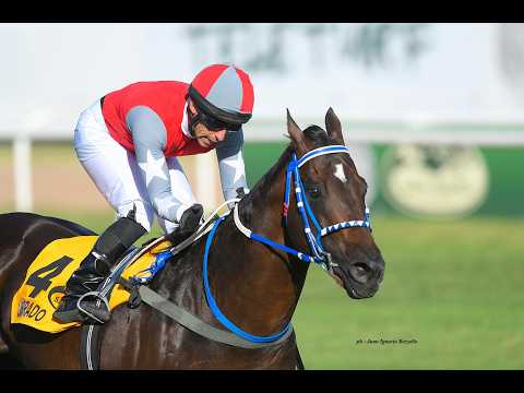 Clásico General Viamonte (G3) 2026 - Labrado (Le Blues)