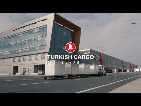 SMARTIST Neden Bu Kadar Büyük?