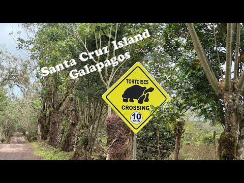 Santa Cruz Island- Galapagos 