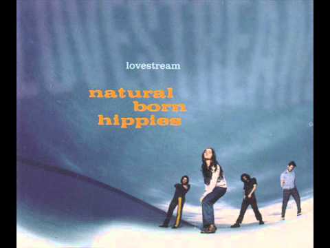 Natural Born Hippies - Lovestream (the 19th mix)