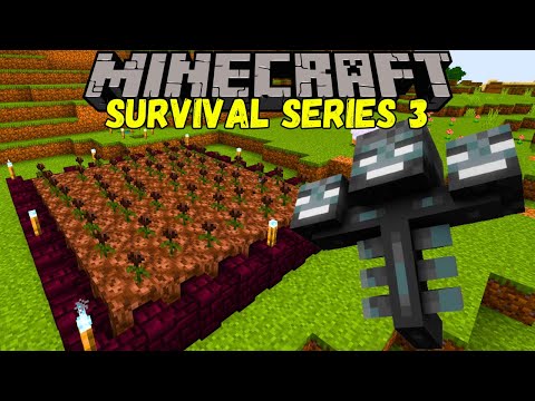 Building a WITHER Rose Farm! |Minecraft Bedrock 1.21 Survival Series S3 EP 24|