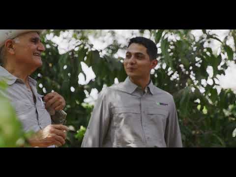 The Future of Coffee