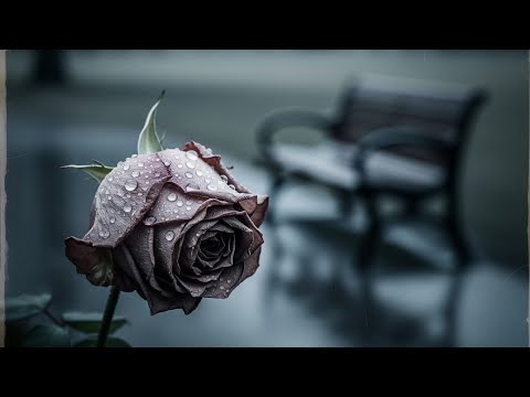 Matt98 - Break From Me [OFFICIAL AUDIO]