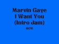 Marvin Gaye - I Want You (Intro Jam)