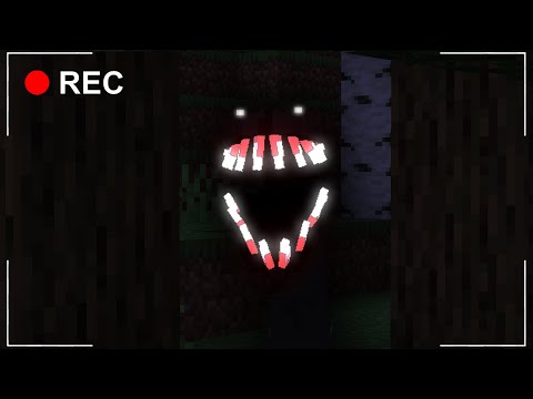 Unbelievable New Horrifying Minecraft Creature!