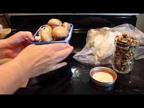 download lagu mp3 mp4 How To Store Mushrooms, download lagu How To Store Mushrooms gratis, unduh video klip How To Store Mushrooms