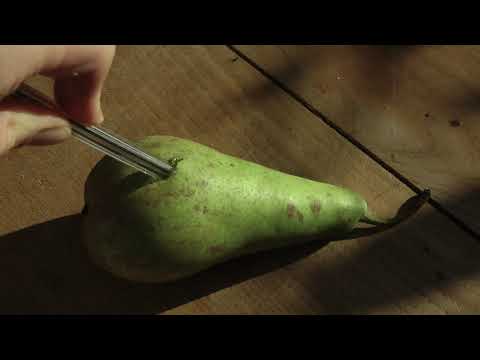 EFTYCHIA - AW21 Life Before Birth