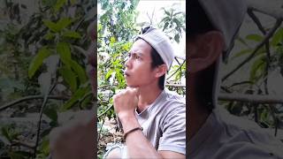 Download lagu koplak... 😁🤣 Mau ketawa takut dosa #funny #comedy #videolucu #filmlucu #komedi #humor #trending mp3