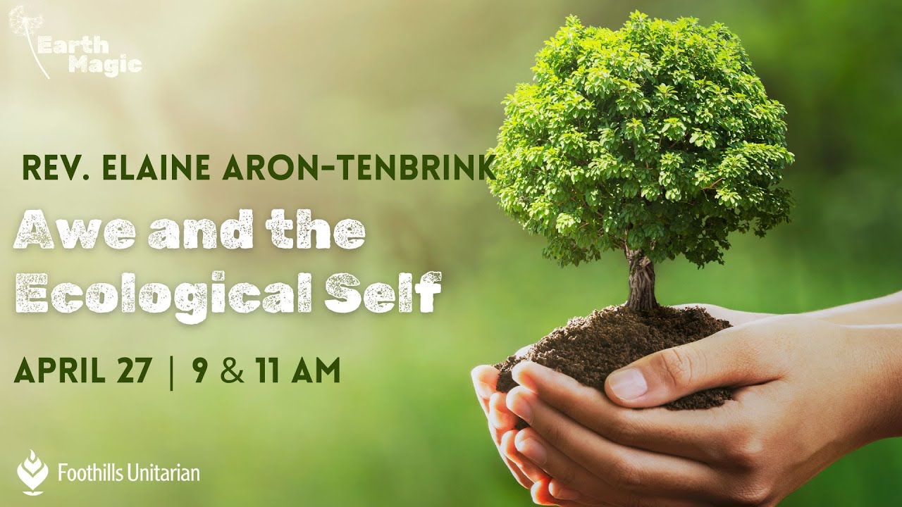 Awe and the Ecological Self