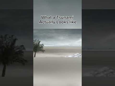 What a Tsunami Actually Looks Like🔥 #fyp #tsunami #hawaii