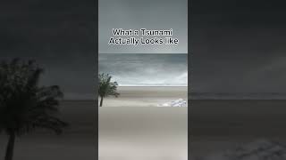 Download lagu What a Tsunami Actually Looks Like🔥 #fyp #tsunami #hawaii mp3 Download lagu What a Tsunami Actually Looks Like🔥 #fyp #tsunami #hawaii mp3