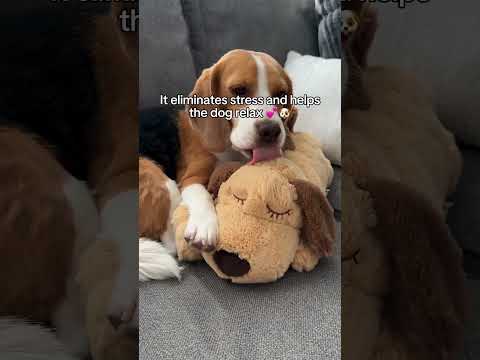 He couldn’t be without me for 2 minutes, now he can go full day without any anxious moments