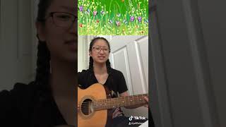 Wild Horses (Guitar Cover) - Natasha Bedingfield