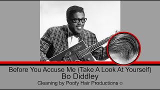 Before You Accuse Me (Take A Look At Yourself), by Bo Diddley