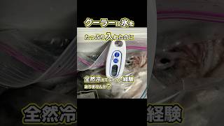 【悲報】クーラーボックスに氷を入れたのに冷えない…衝撃の理由とは？ #イカメタル #ケンサキイカ