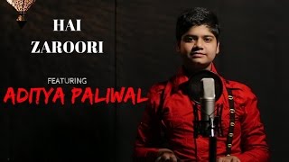 HAI ZAROORI COVER | NOOR | BY ADITYA PALIWAL | SONAKSHI SINHA |AMAAL MALLIK | PRAKRITI KAKAR |