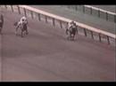 Buckpasser - 1965 Sapling Stakes