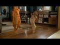 Garfield S Dance
