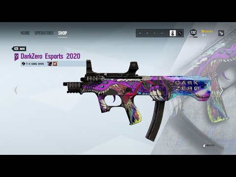 Rainbow Six Siege All Esports Weapon Skins 2021