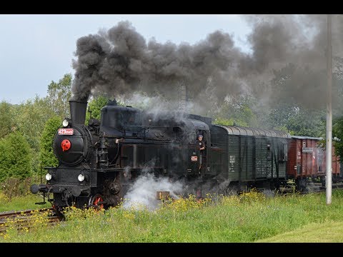 Parní lokomotiva 423.0145 - Parním vlakem Českým rájem 8.7.2017