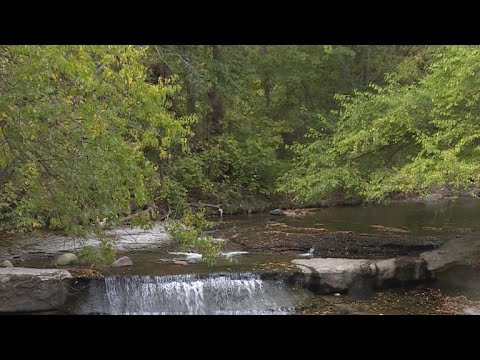 Nature: Cuyahoga Valley National Park