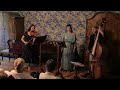 Viennese Tuning Times - Koncert k výročí české státnosti